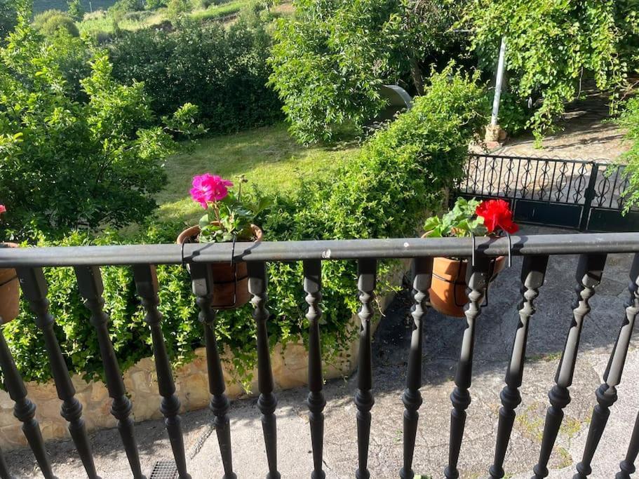 Villa Casa A Boga Ribeira Sacra Abeleda Exterior foto