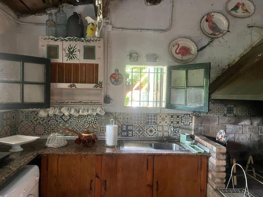 Villa Casa A Boga Ribeira Sacra Abeleda Exterior foto