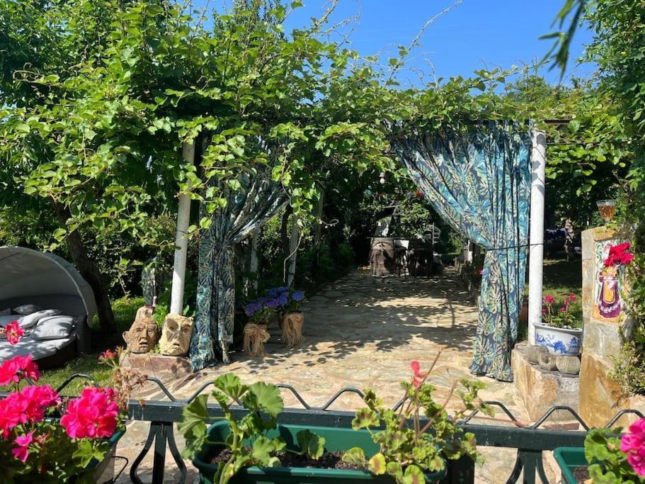Villa Casa A Boga Ribeira Sacra Abeleda Exterior foto